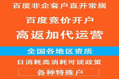 SEM搜索引擎优化成功案例，揭示优化策略与技巧
